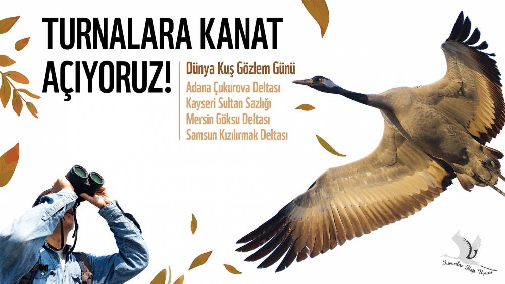 6 Ekim Turna Gözlemi